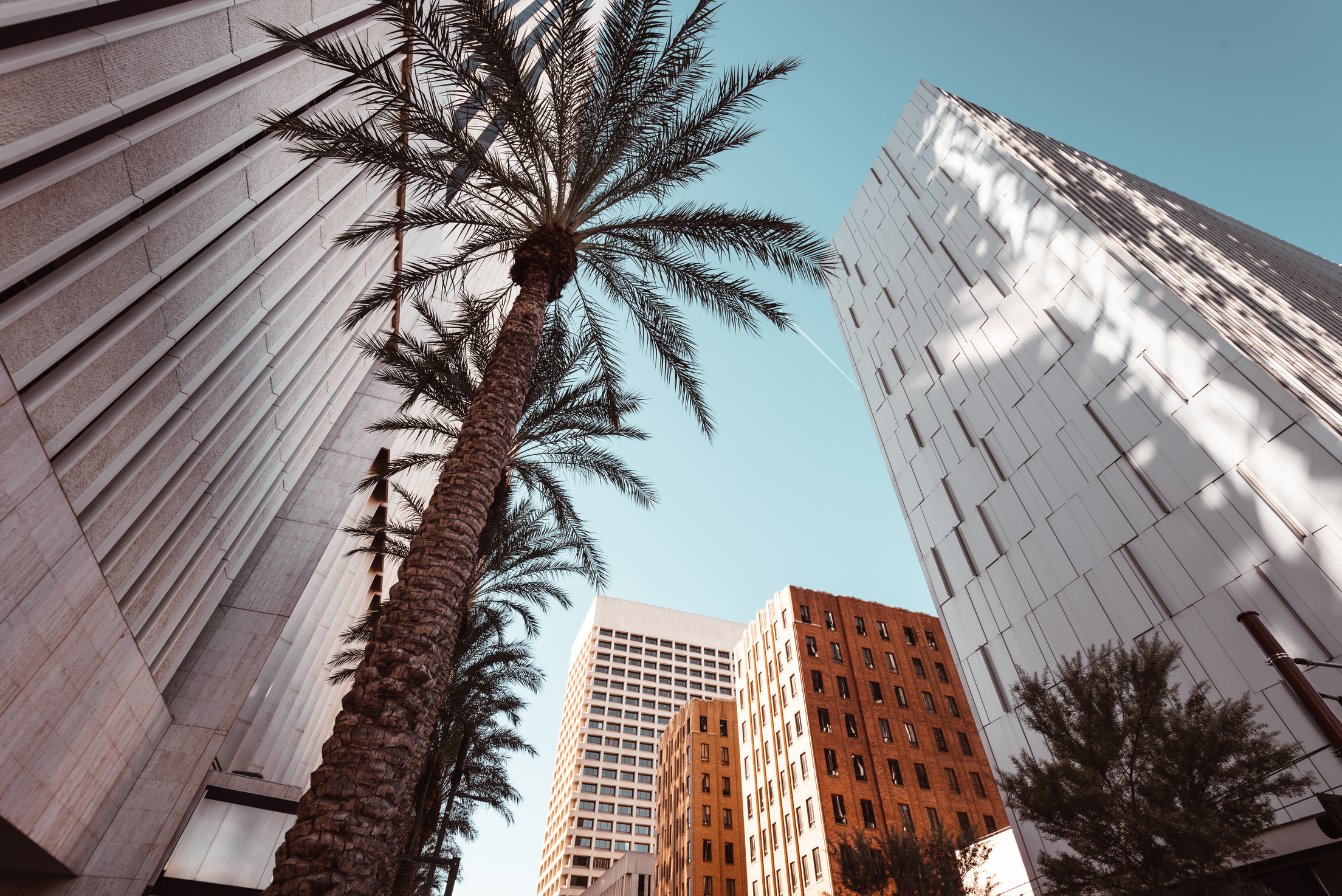 phoenix downtown